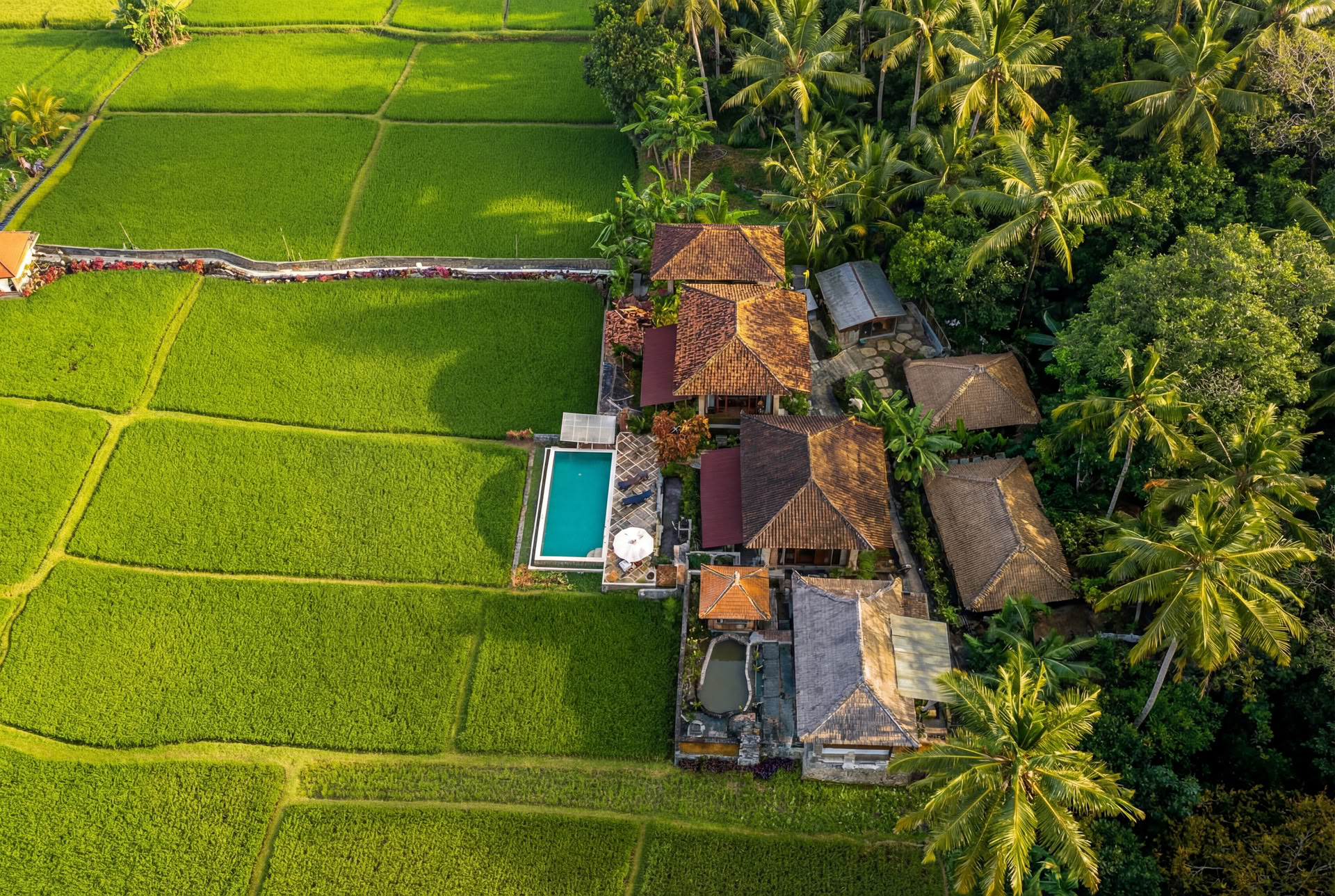Unforgettable 7-Day Yoga Ritiro in Firefly Retreat Bali