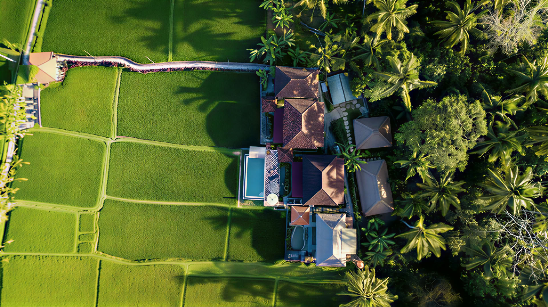 Unforgettable 7-Day Yoga Ritiro in Firefly Retreat Bali