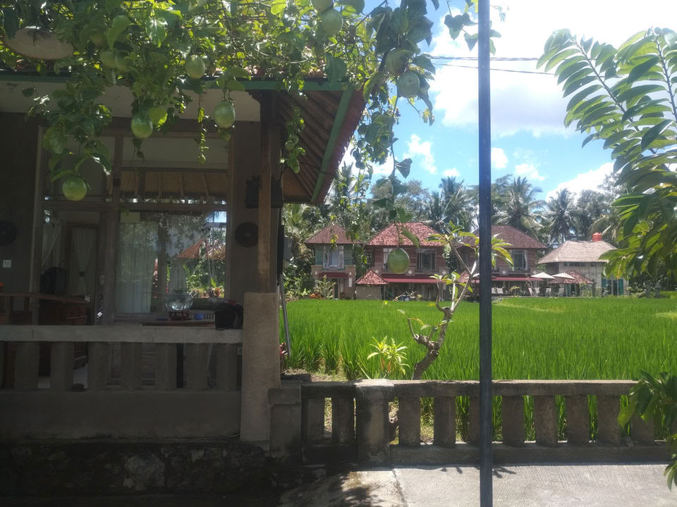 Unforgettable 7-Day Yoga Ritiro in Firefly Retreat Bali