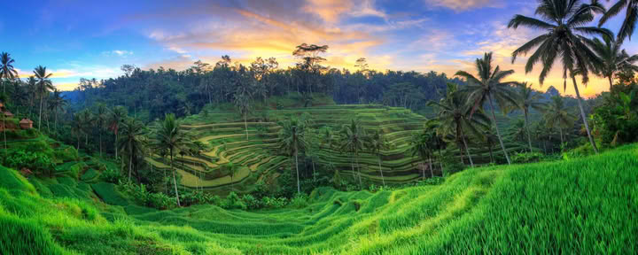 Unforgettable 7-Day Yoga Ritiro in Firefly Retreat Bali