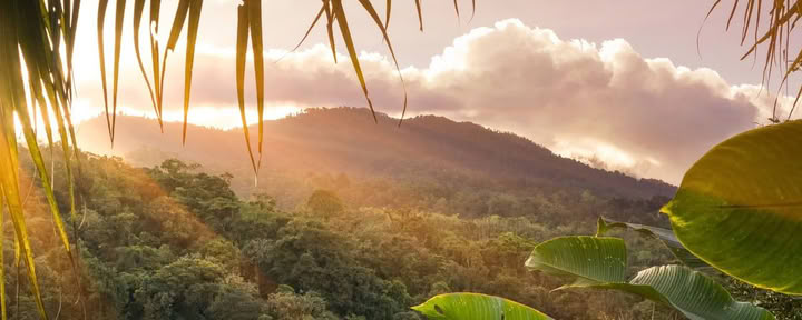 Cerimonia del cacao