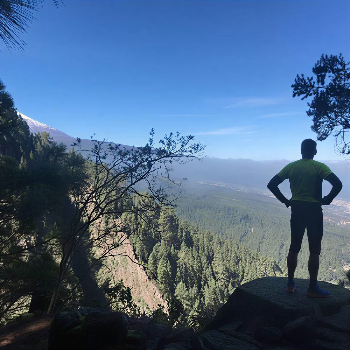 Yoga o meditazione e pausa benessere nel nord di Tenerife – 07 set – 21 ott 2026