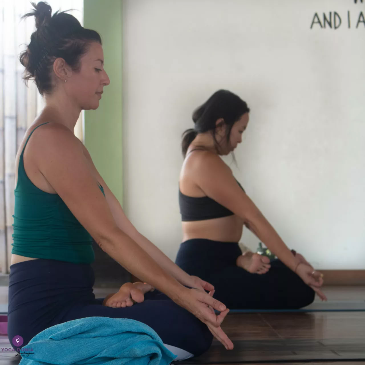 Week End Workshop: Yoga Aerea