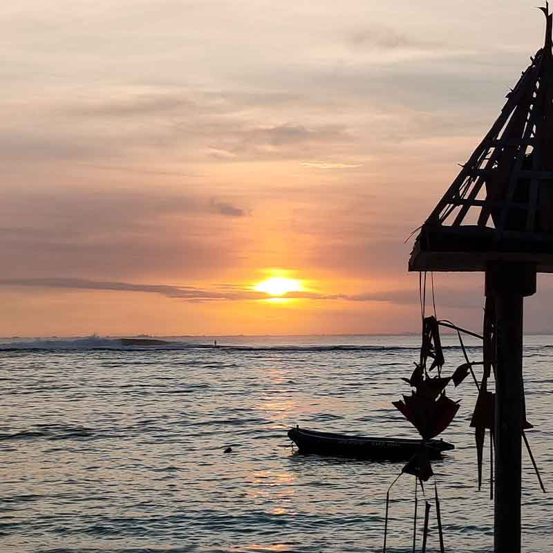 110h Formazione Insegnanti di Anatomia e Vinyasa Yoga