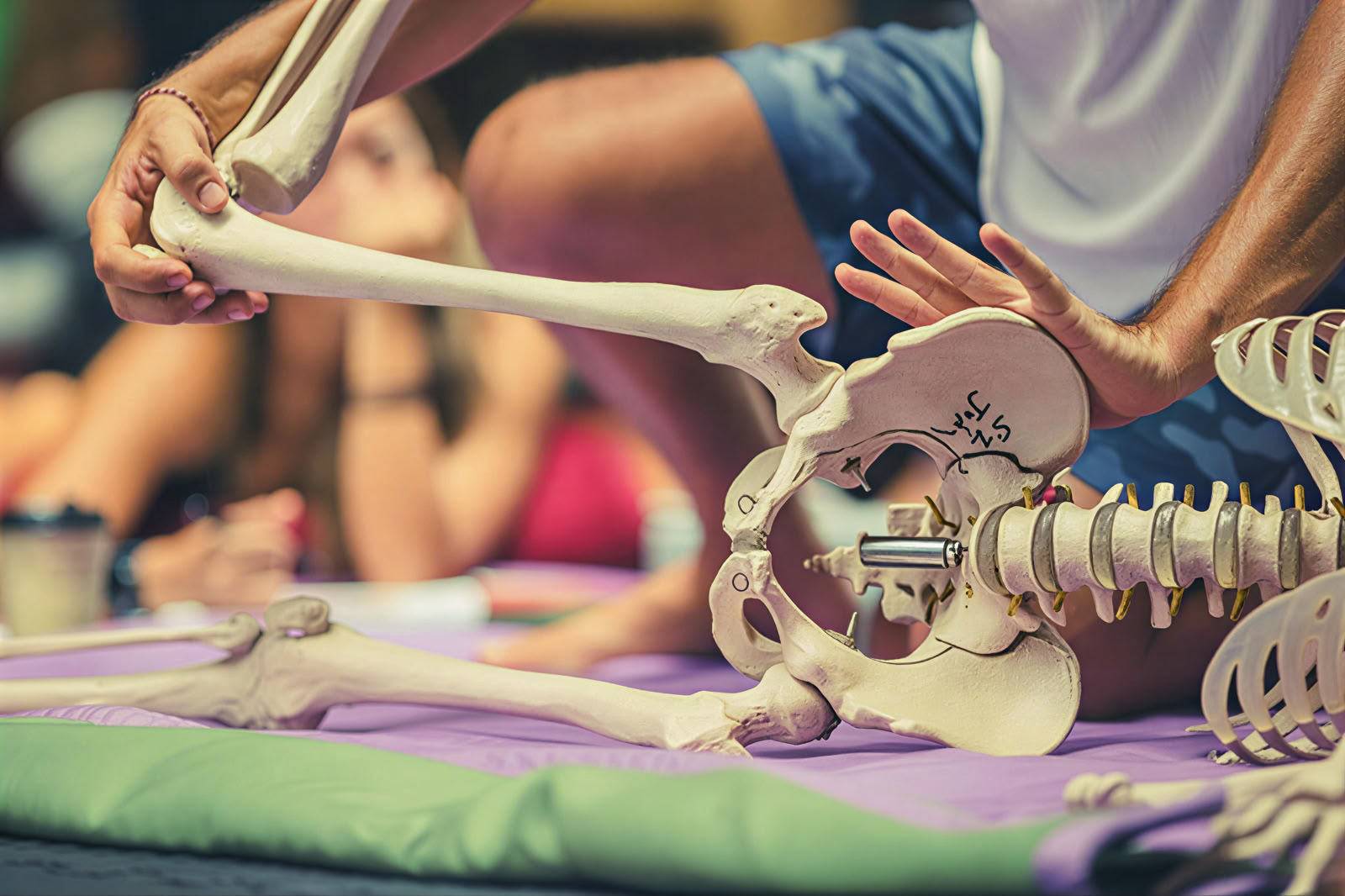 Fascia Universe 125hr Formazione Avanzata di Yoga e Somatica