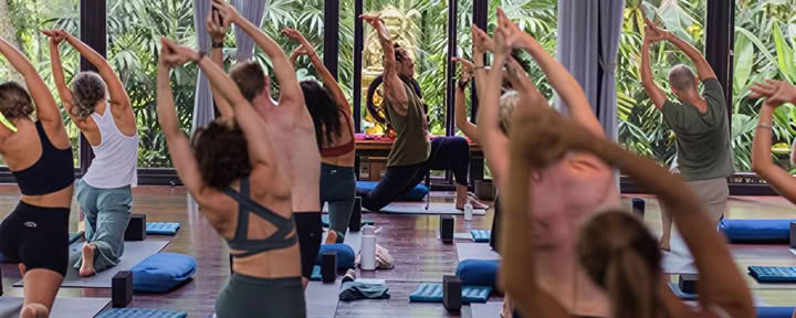 Fascia Universe 125hr Formazione Avanzata di Yoga e Somatica
