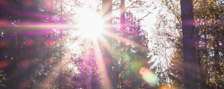 Sistertalk Retreats - LATE SUMMER GLOW: Ritiro degli Elementi Minerale/Natura — Wild Nature Retreats