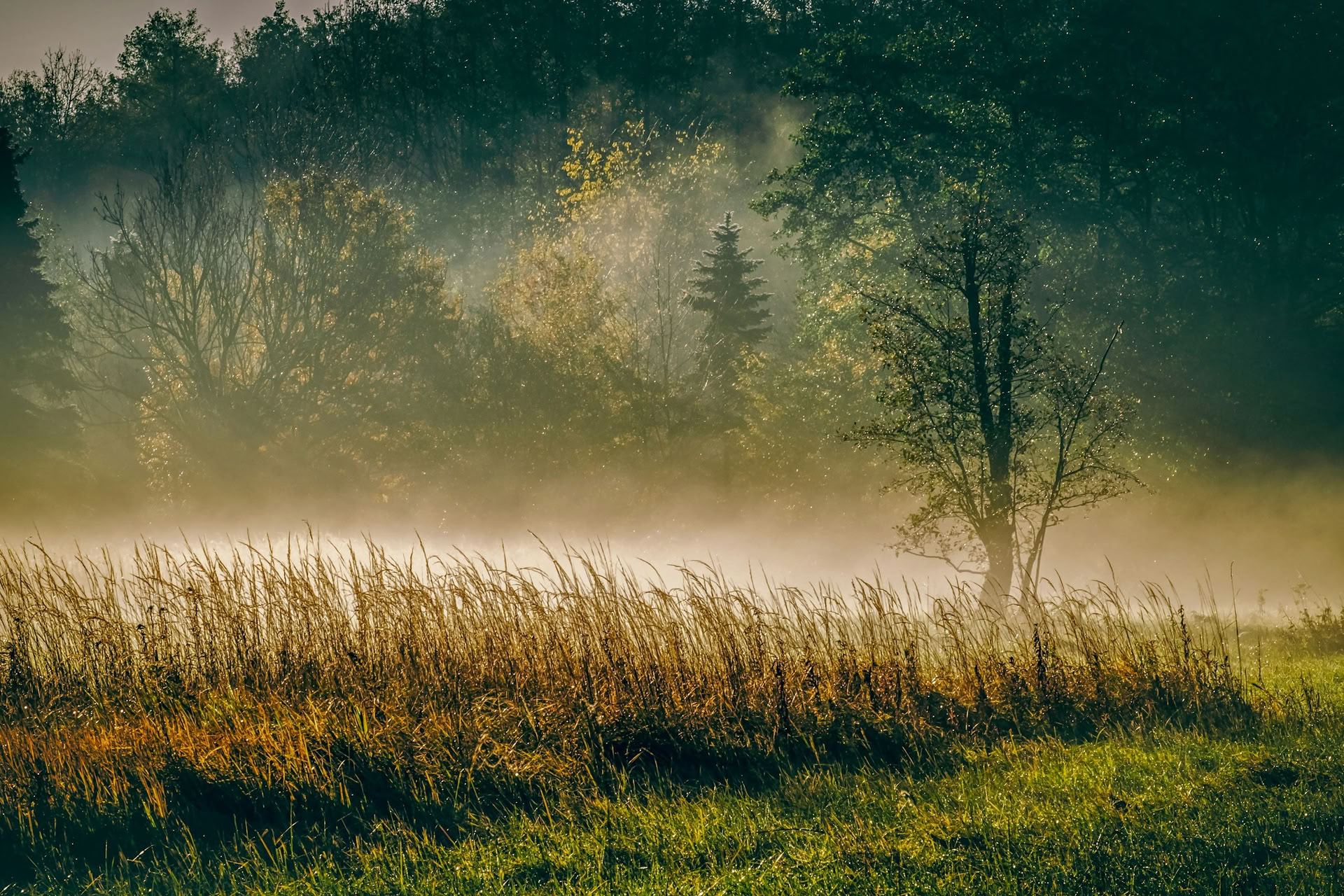 Creative Rest: Ritiro d'Autunno