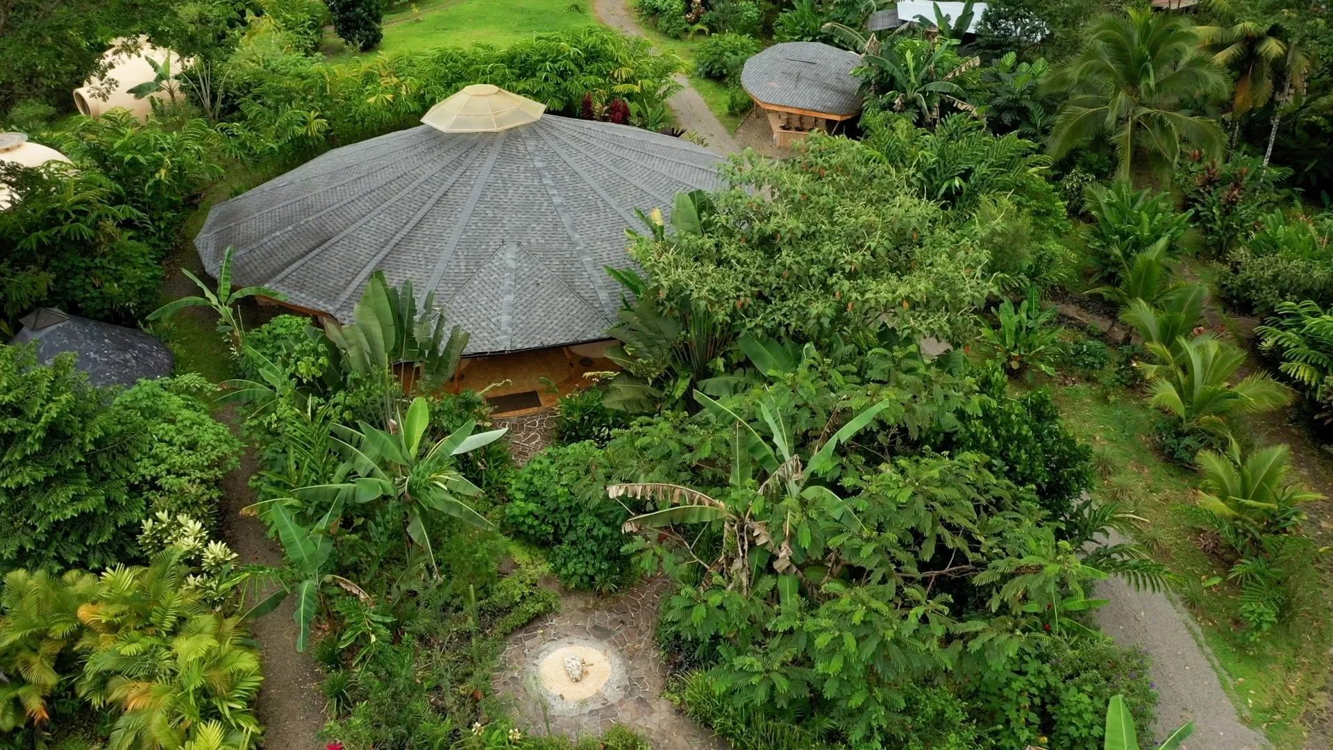 IPSALU Tantra Kriya Yoga I Livello 2 Respiro del Cobra — Brave Earth