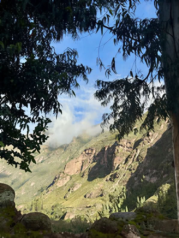 Cerimonia di Ayahuasca