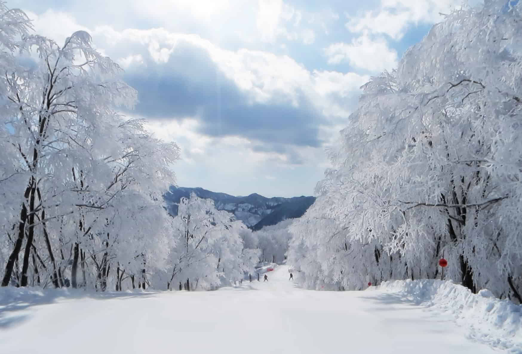 Ritiro della Dea della Neve