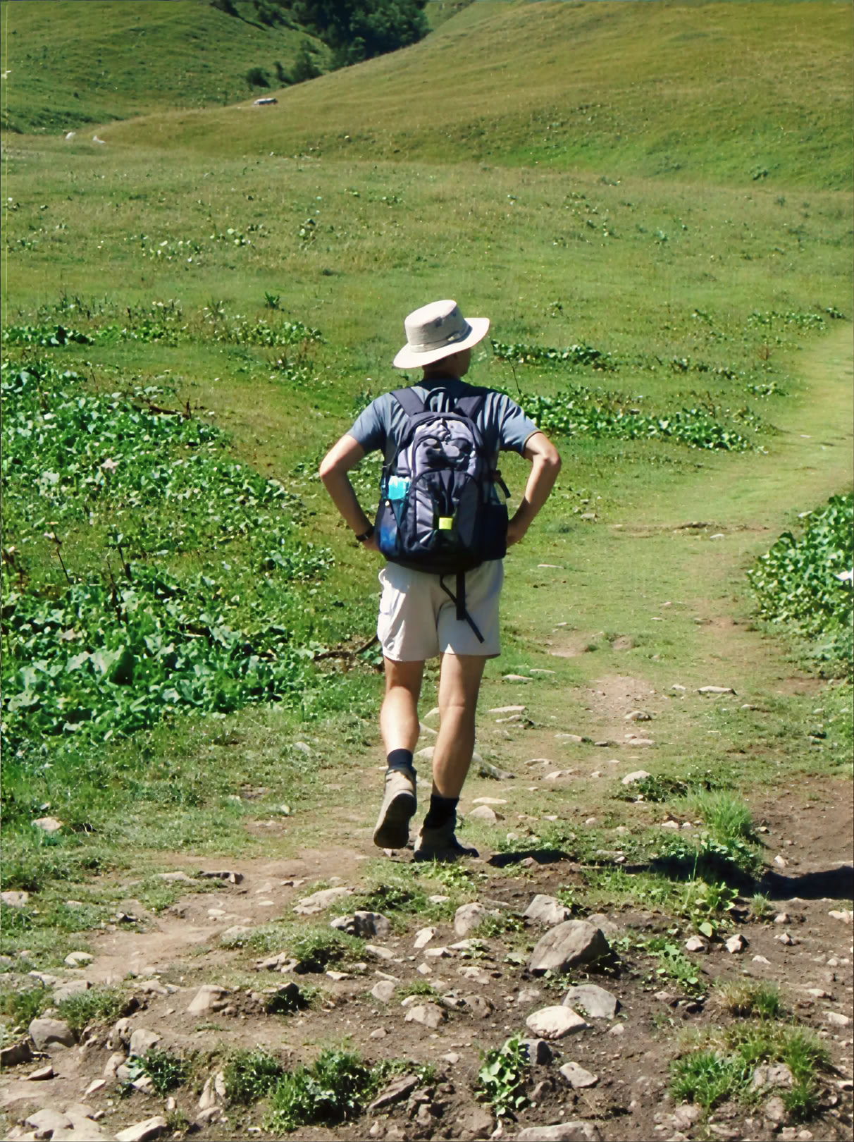 Walking for Wellbeing Ritiro
