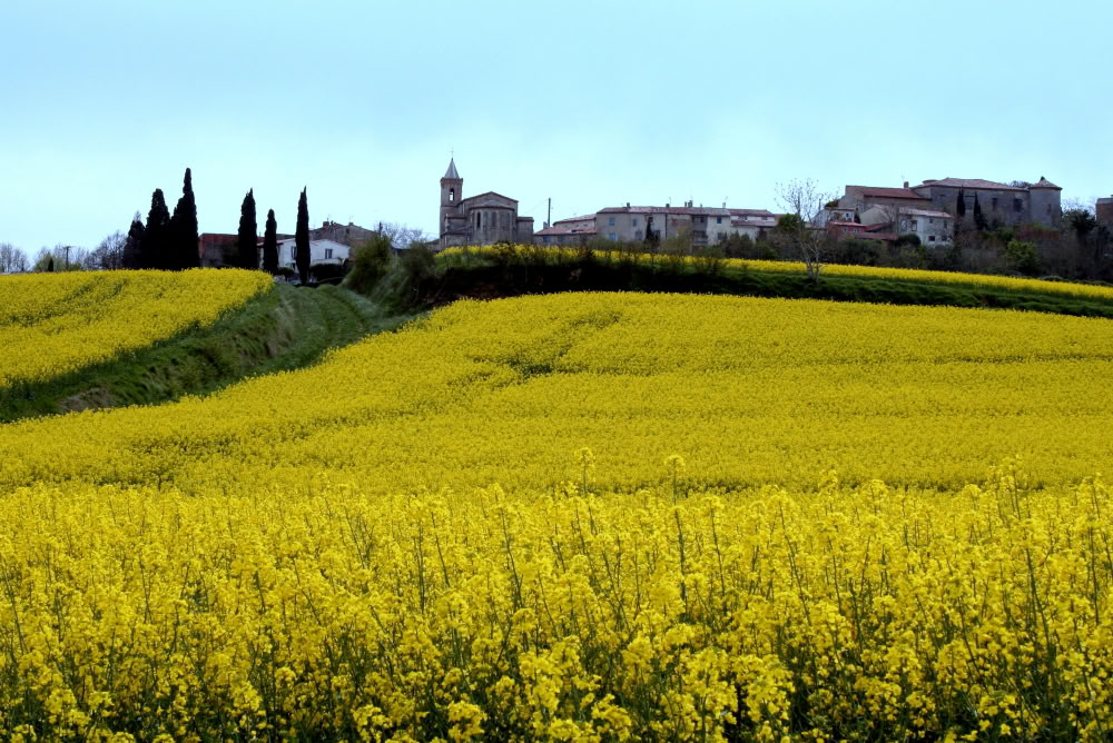 Walking for Wellbeing Ritiro