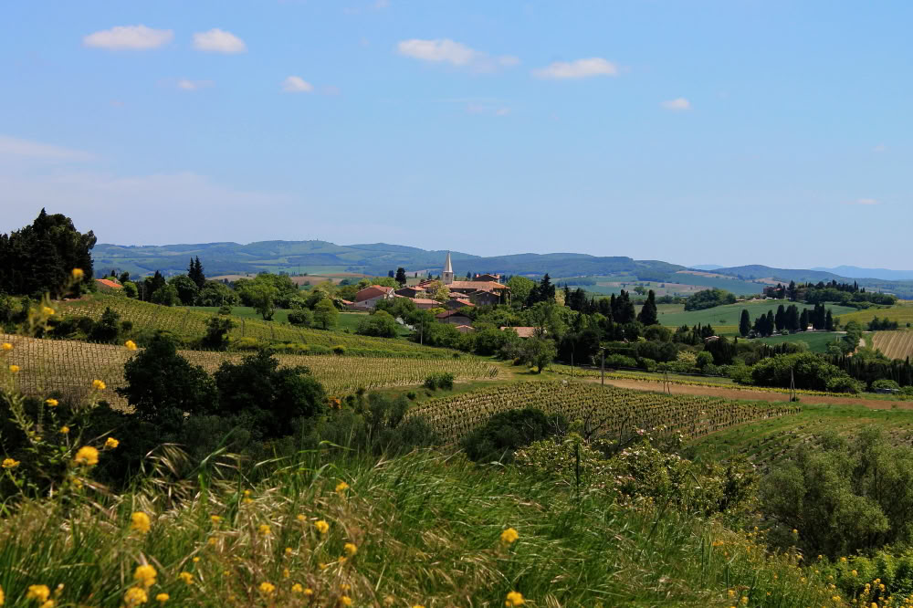 Walking for Wellbeing Ritiro