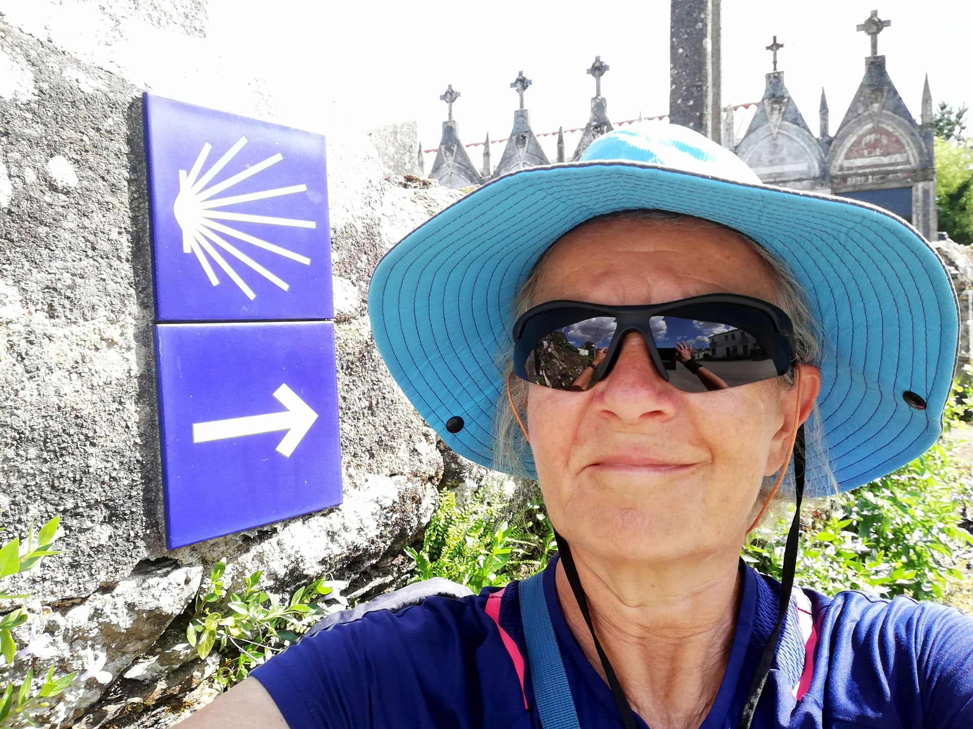 Camino Dreaming