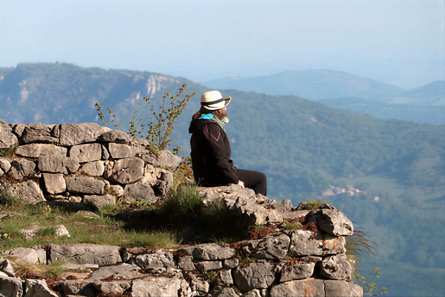 Coming Home: Radicati, Rinasci e Rinnova