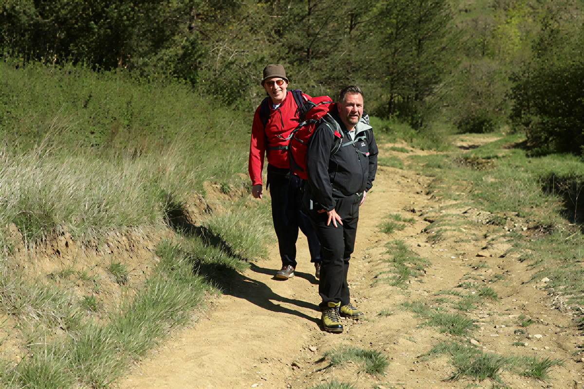Healthy Heart Reset: Un percorso verso il benessere