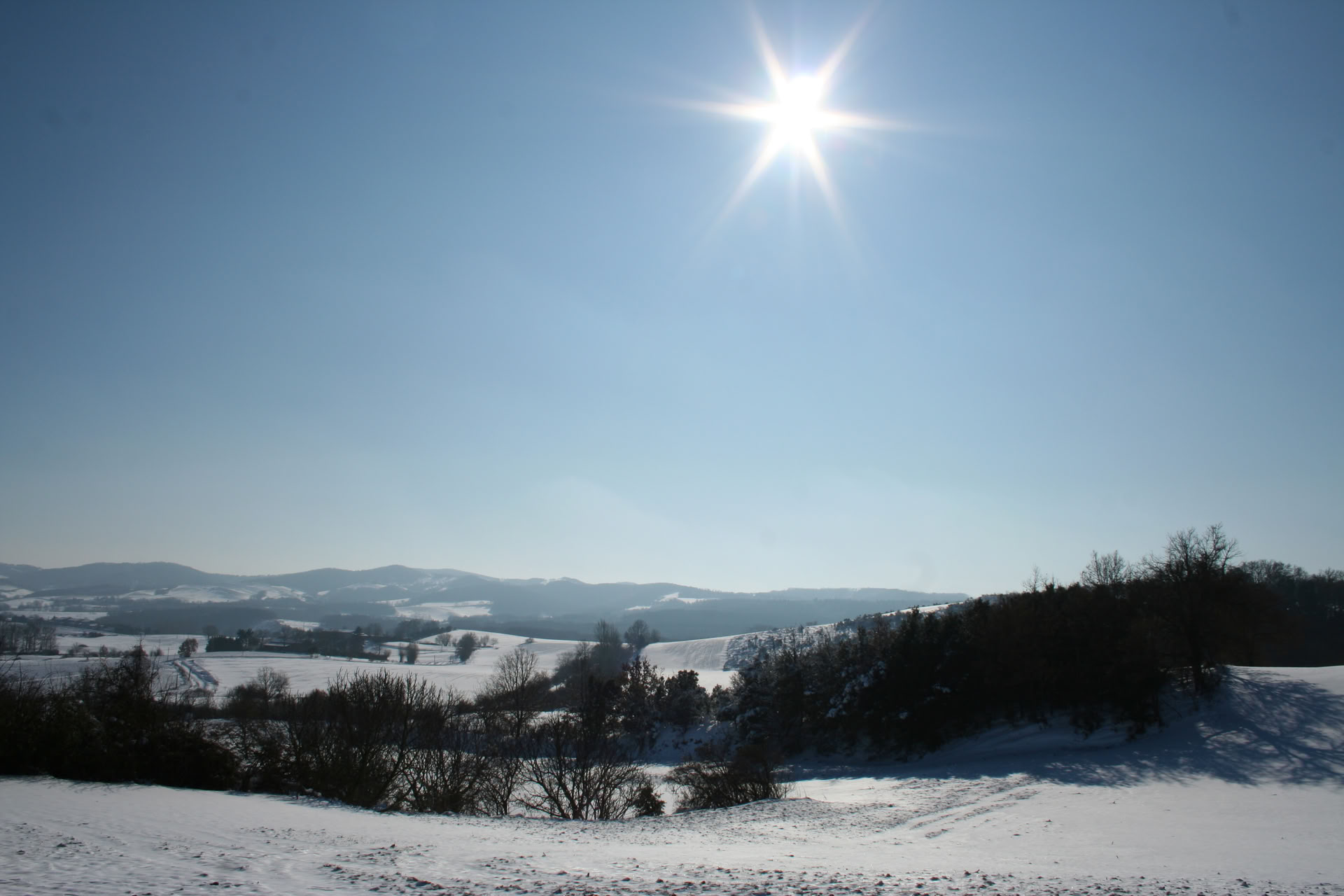 Healthy Heart Reset: Un percorso verso il benessere