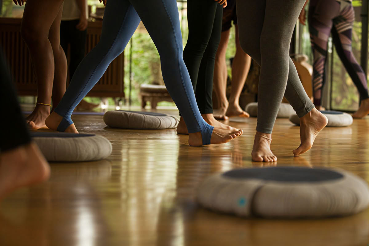 Vivencia terapeutica: Alma con Calma