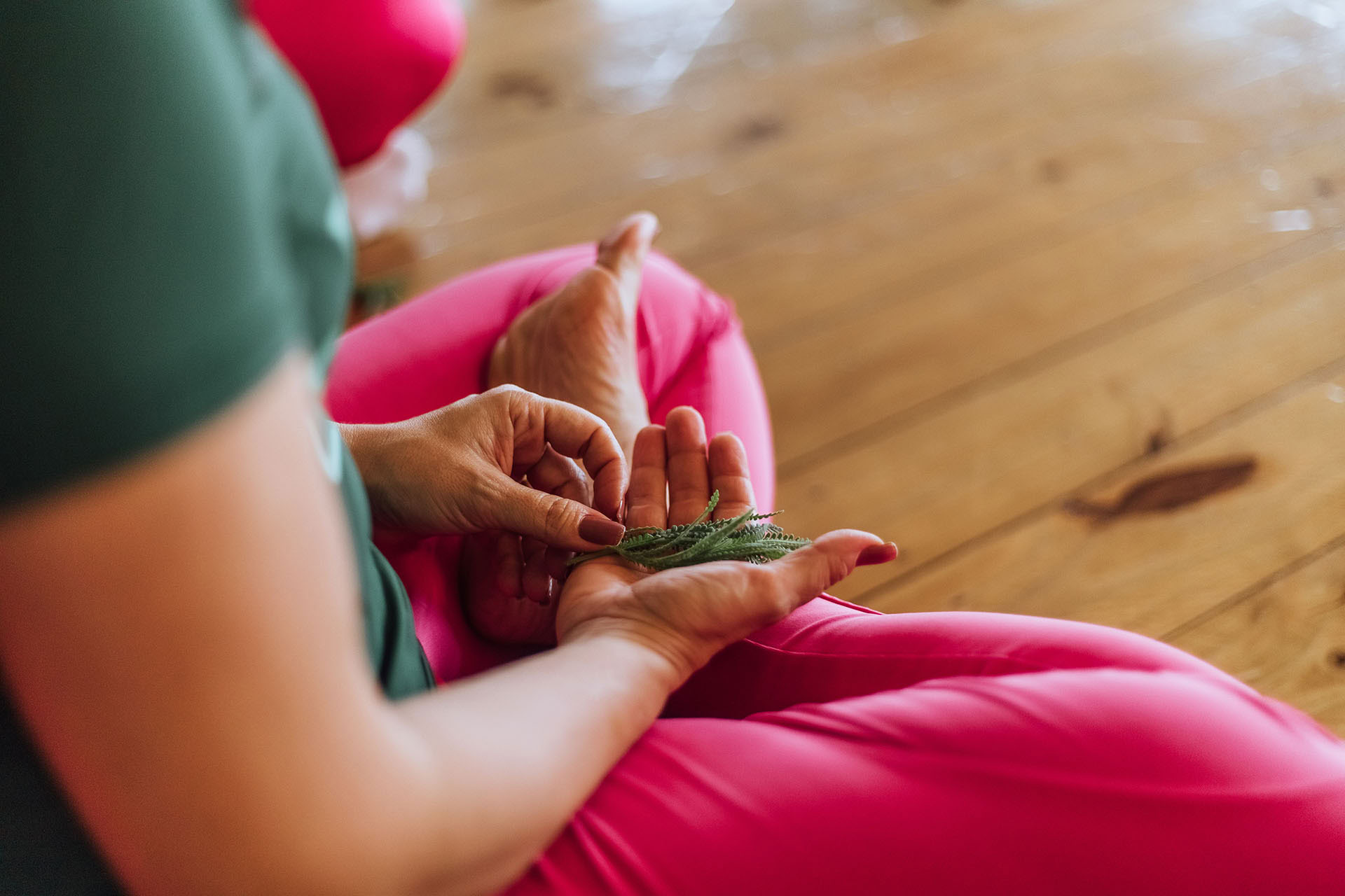 Vivencia terapeutica: Alma con Calma
