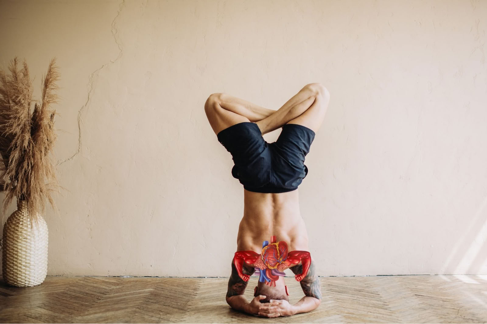 Yoga Therapy per la Salute Respiratoria (Cardio-Breath Fusion)