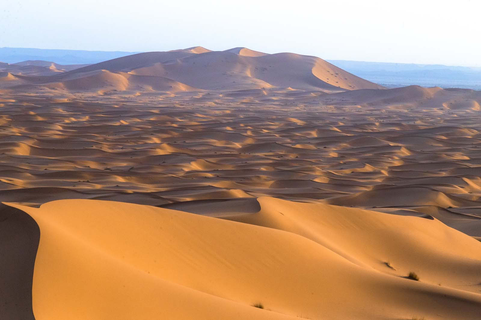 4 giorni di tour da Casablanca a Marrakesh via deserto