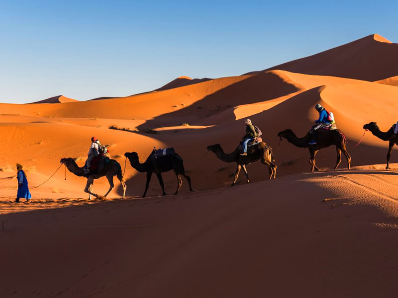 Tour di 5 giorni da Casablanca a Chefchaouen