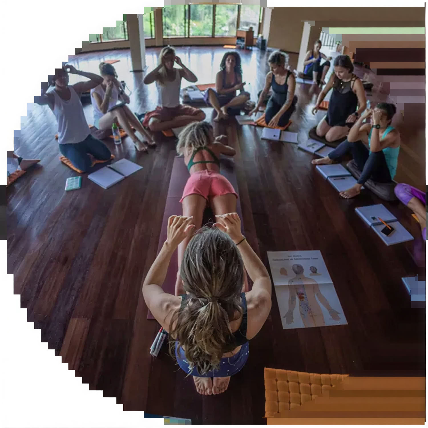 50HR Formazione Insegnanti di Yoga