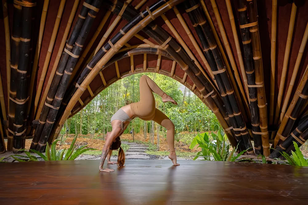 Vaidika Dharma: Formazione Insegnanti di Yoga SPIRIT di 100 Ore