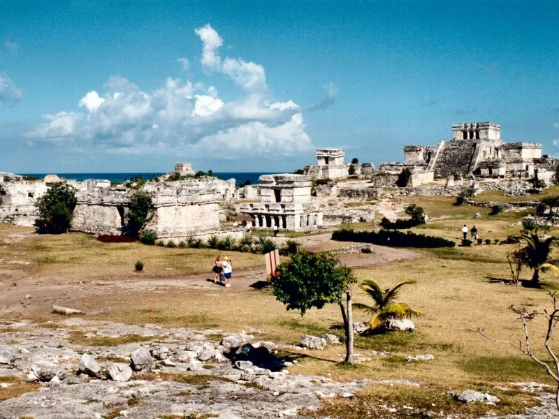 Coralli e scogliere a Isla Mujeres