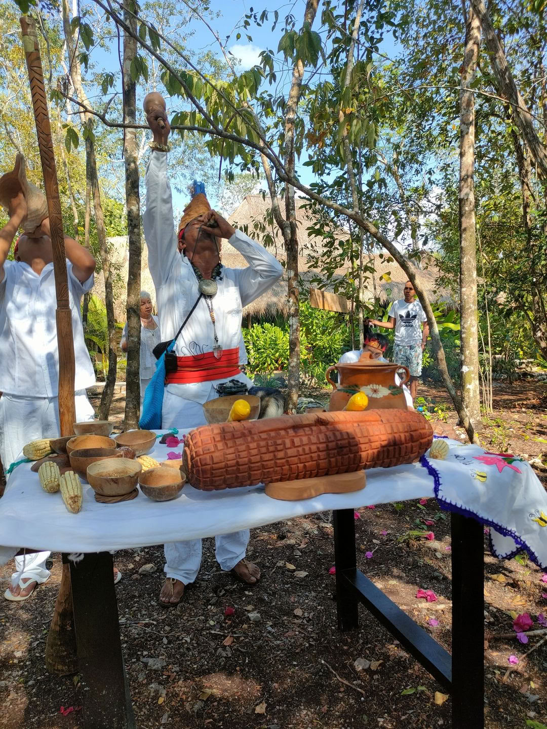 Giardino botanico e cenote privato