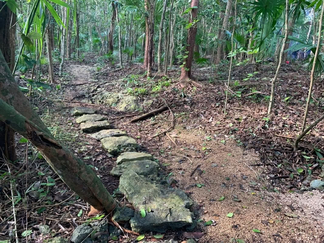 Private Temazcal & Massaggio Sincrono di Coppia