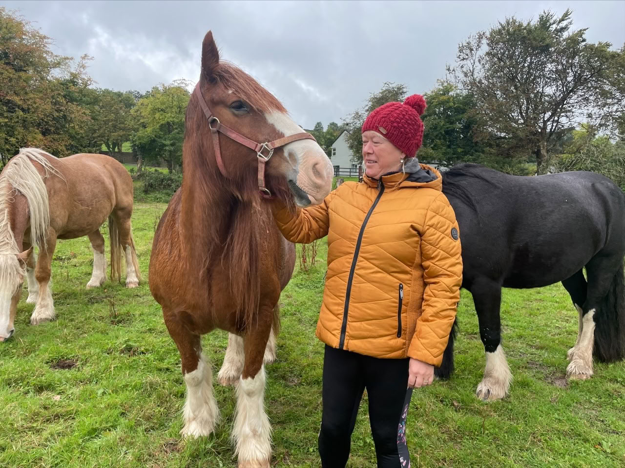 Self Love Ritiro with the Horses