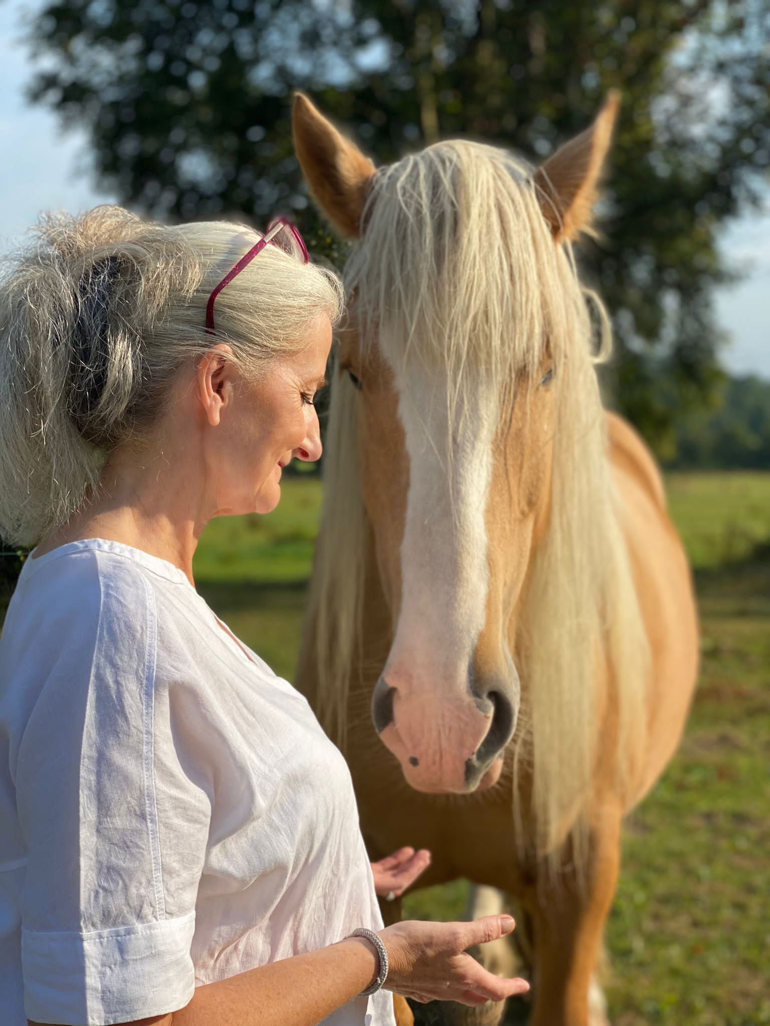 Self Love Ritiro with the Horses