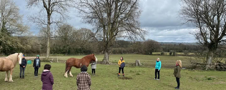 Self Love Ritiro with the Horses