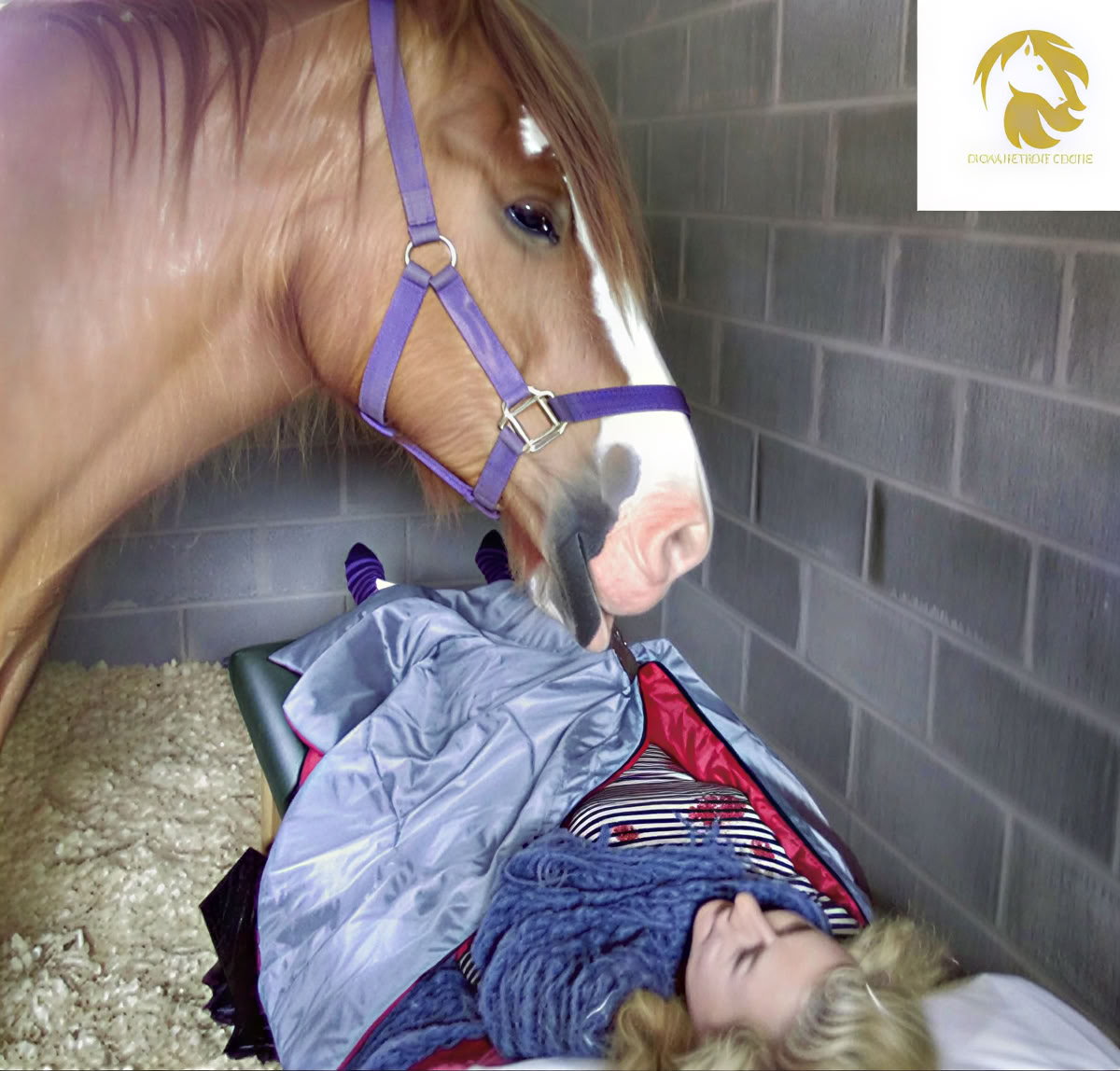Terapia Equina 1-2-1