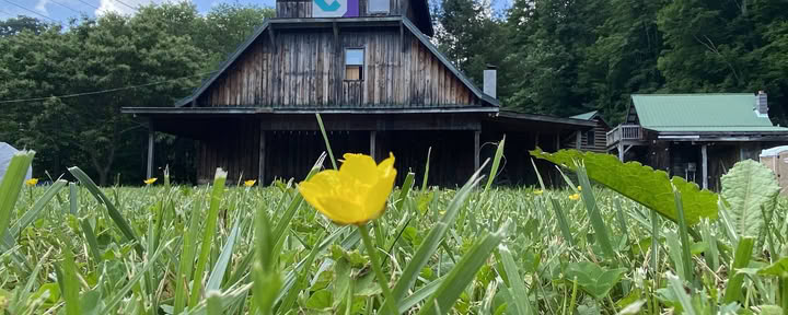 3 Giorni Workshop di Guarigione Sonora per Donne: Impara a Riposare Ritiro vicino ad Asheville, NC