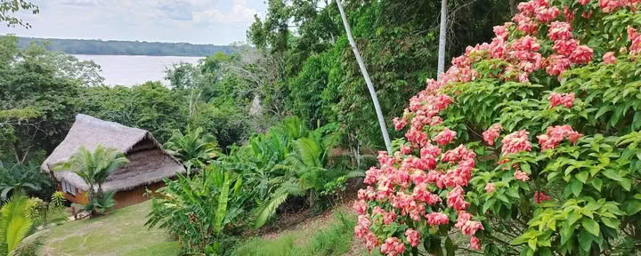 5 giorni ritiro ayahuasca e san pedro