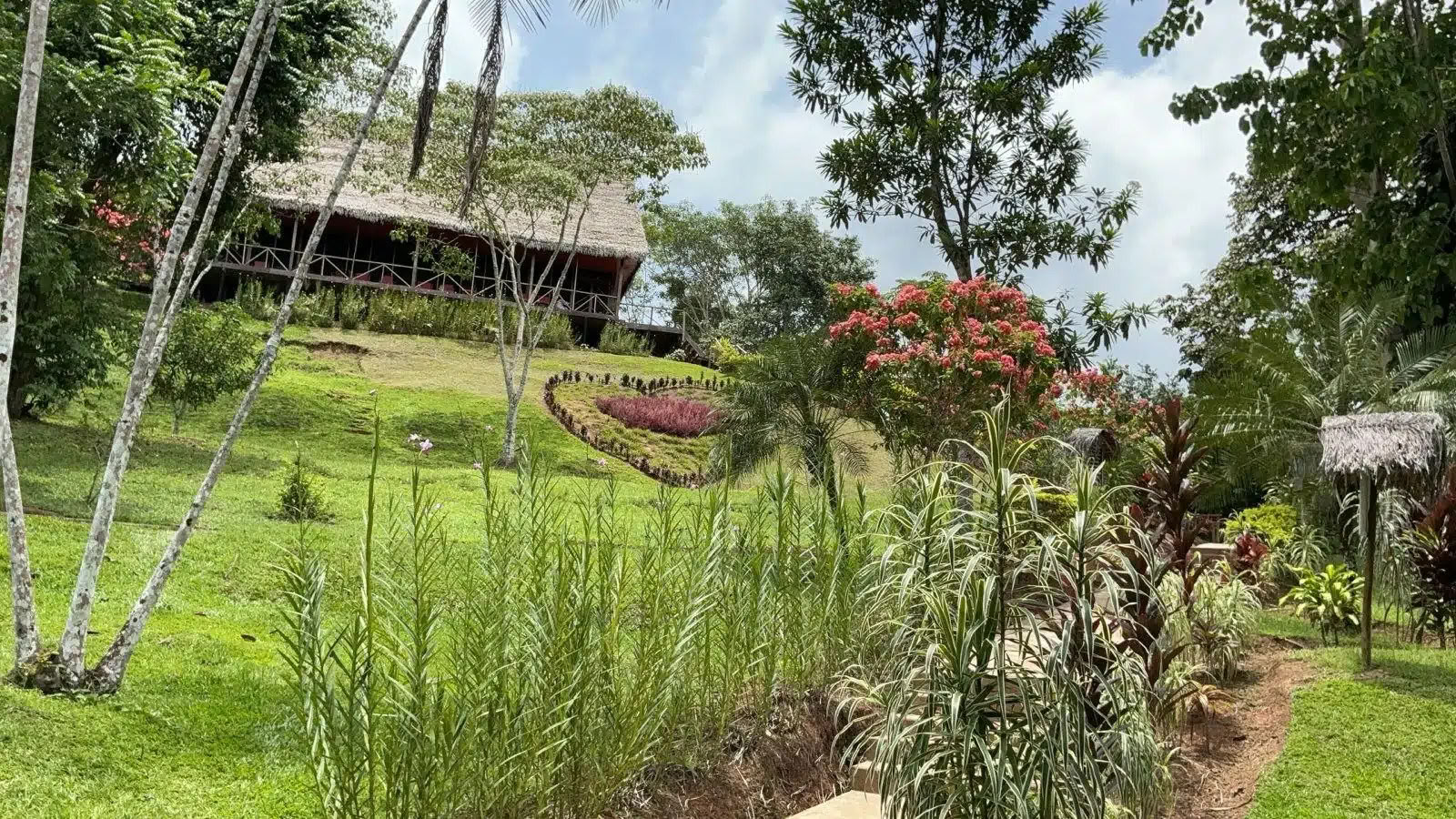 Cerimonia di Ayahuasca