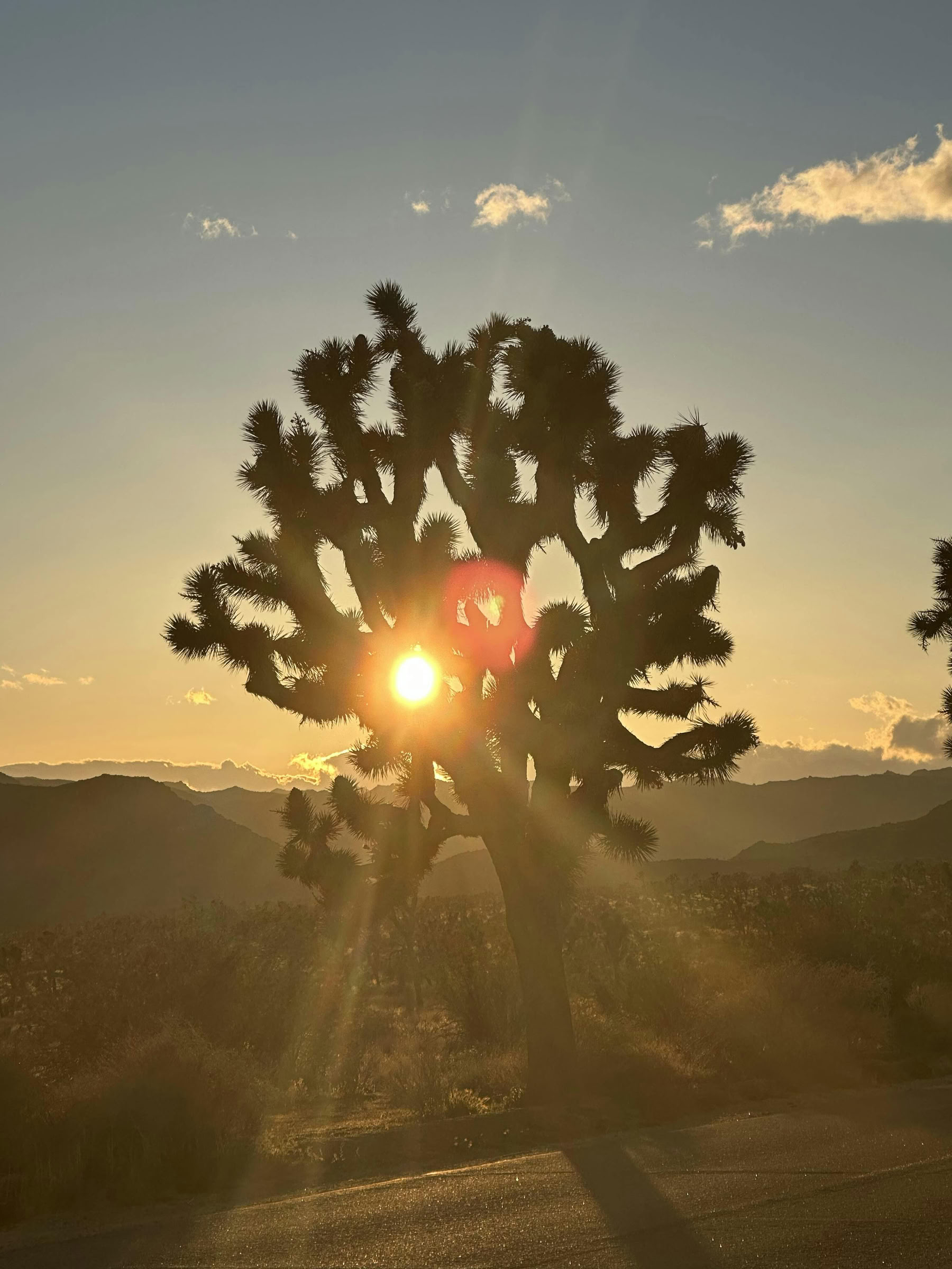 Esperienza di Breathwork di guarigione nel deserto - Palm Springs