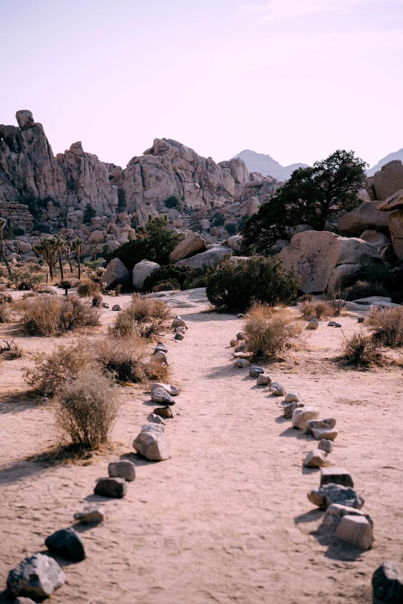 Esperienza di Allineamento per Leader - Palm Springs