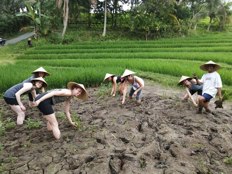 BALIGRASS - Auto-guarigione con l'antico e meditazione
