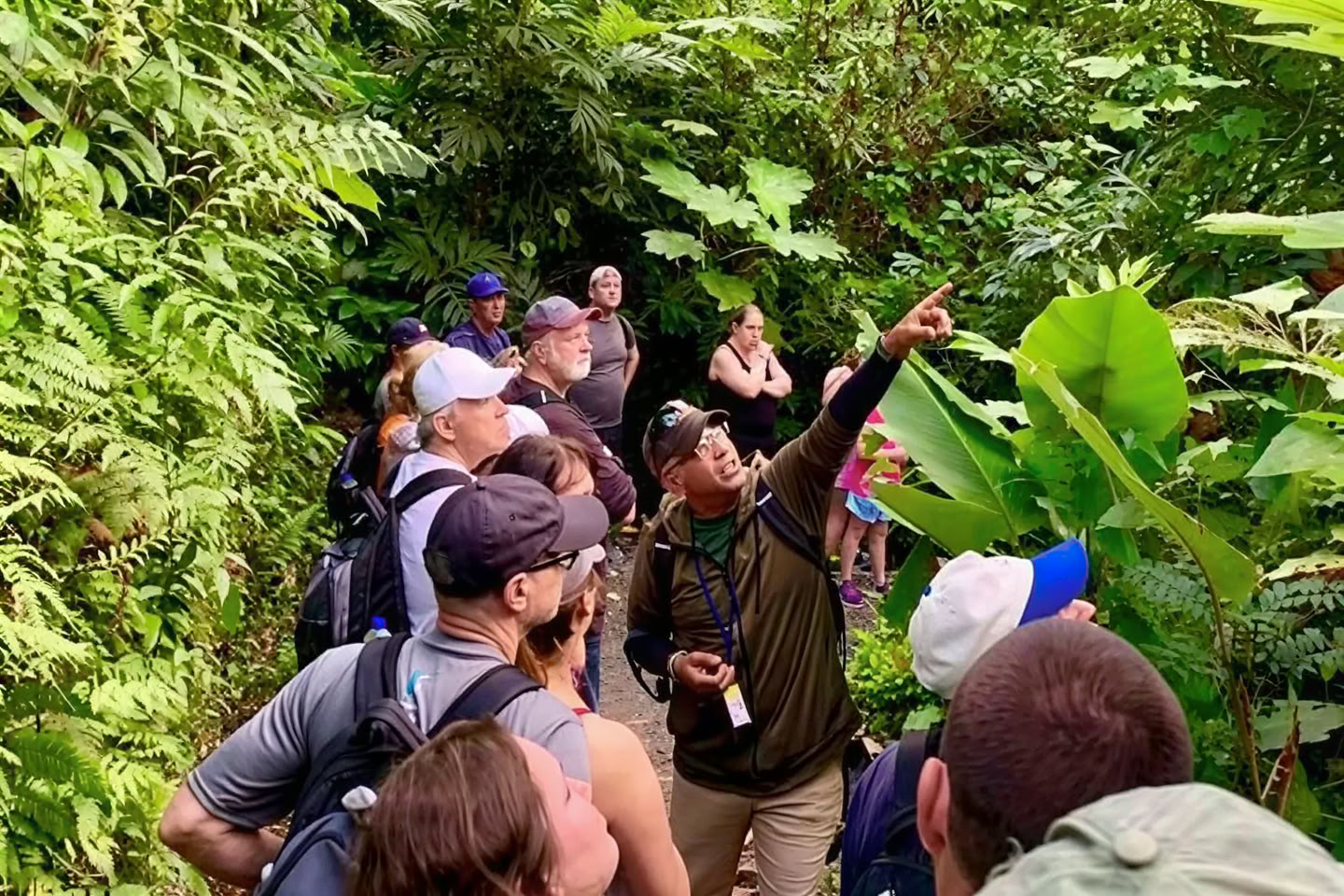 Passeggiata nella natura della foresta pluviale selvaggia e panoramica fino all’avventura sul fiume