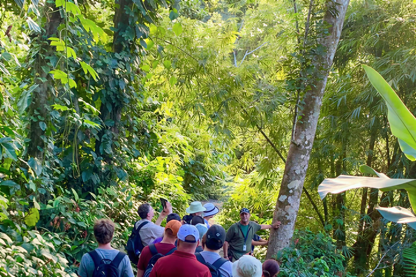 Passeggiata nella natura della foresta pluviale selvaggia e panoramica fino all’avventura sul fiume