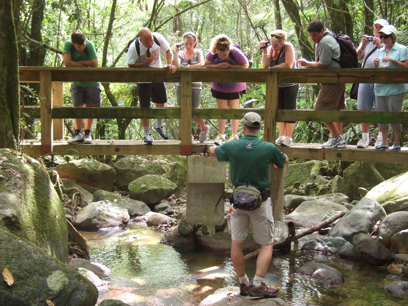 Passeggiata nella natura della foresta pluviale selvaggia e panoramica fino all’avventura sul fiume