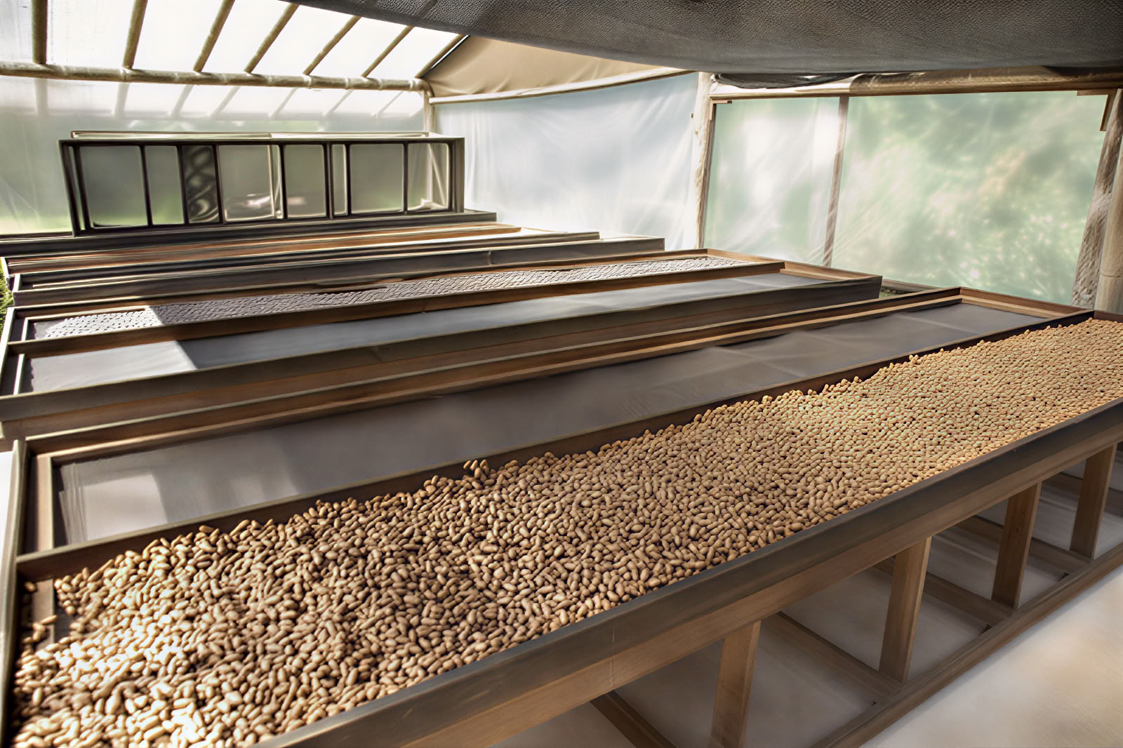Laboratorio di produzione di cioccolato Earth-to-Bar