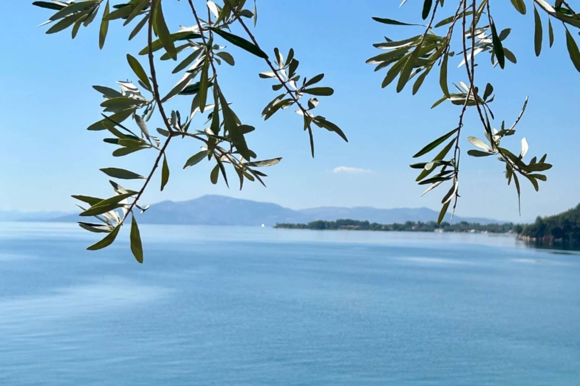 Experience The Elements Ritiro Pelion September 2026