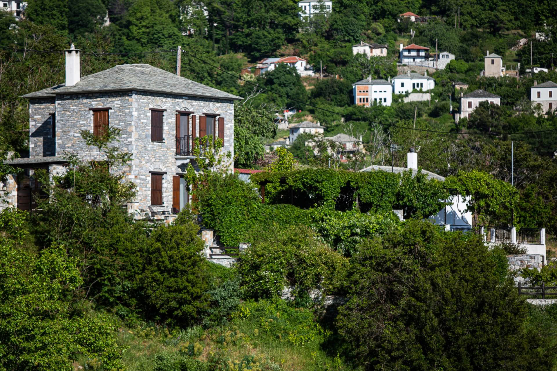 Sunshine For Joy & Wellbeing ritiro in Pelion