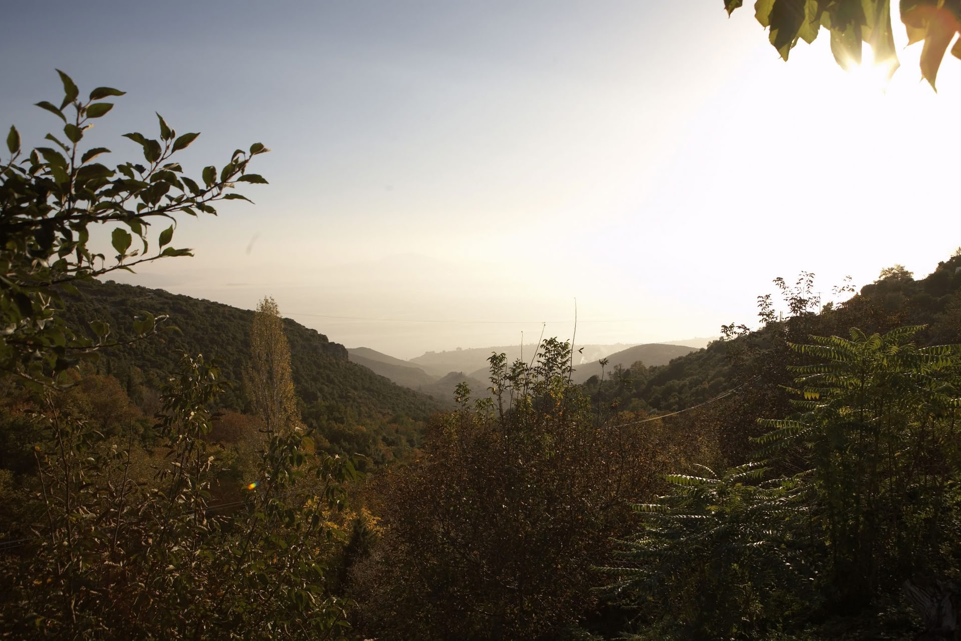 Sunshine For Joy & Wellbeing ritiro in Pelion