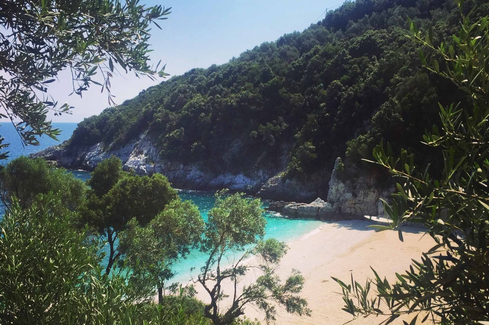 Sunshine For Joy & Wellbeing ritiro in Pelion
